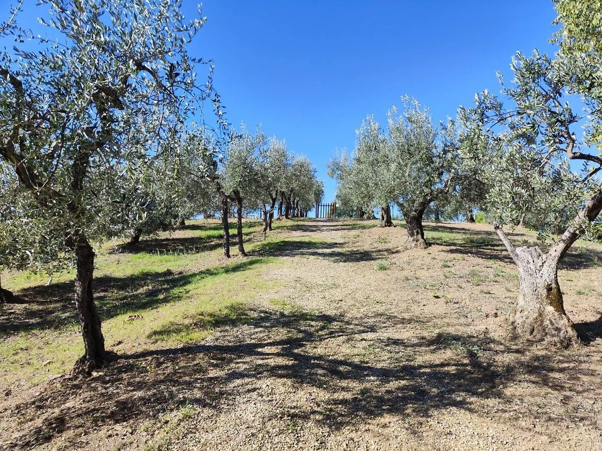Agriturismo Sommassa Greve in Chianti 0*,