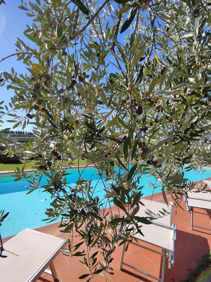 Agriturismo Sommassa Greve in Chianti