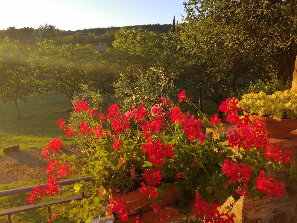 Farm stay Agriturismo Sommassa Greve in Chianti
