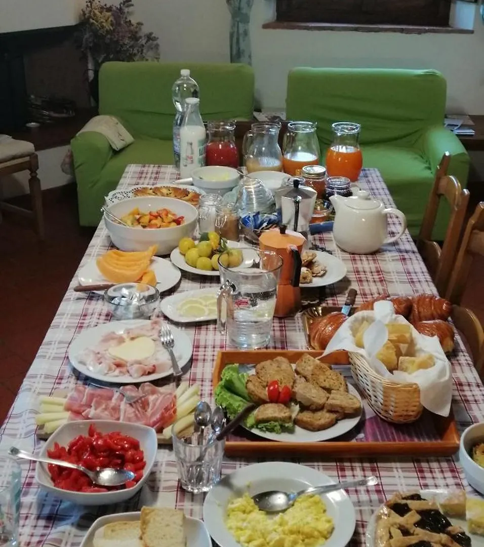 Farm stay Agriturismo Sommassa Greve in Chianti