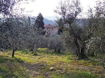 Farm stay Agriturismo Sommassa Greve in Chianti Italy