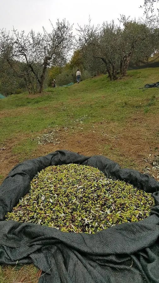 Agriturismo Sommassa Greve in Chianti 0*,