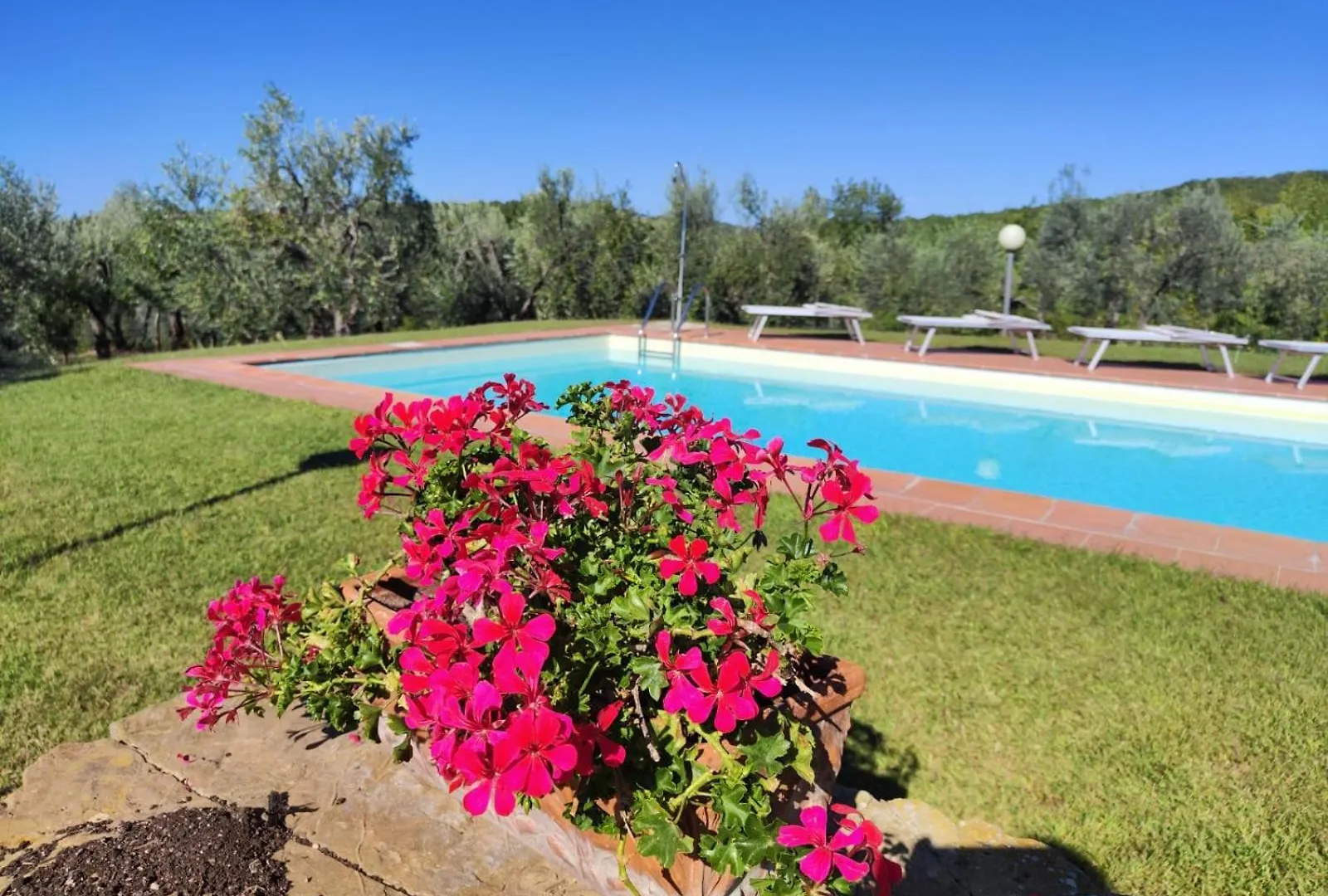 Farma Agriturismo Sommassa Greve in Chianti Itálie
